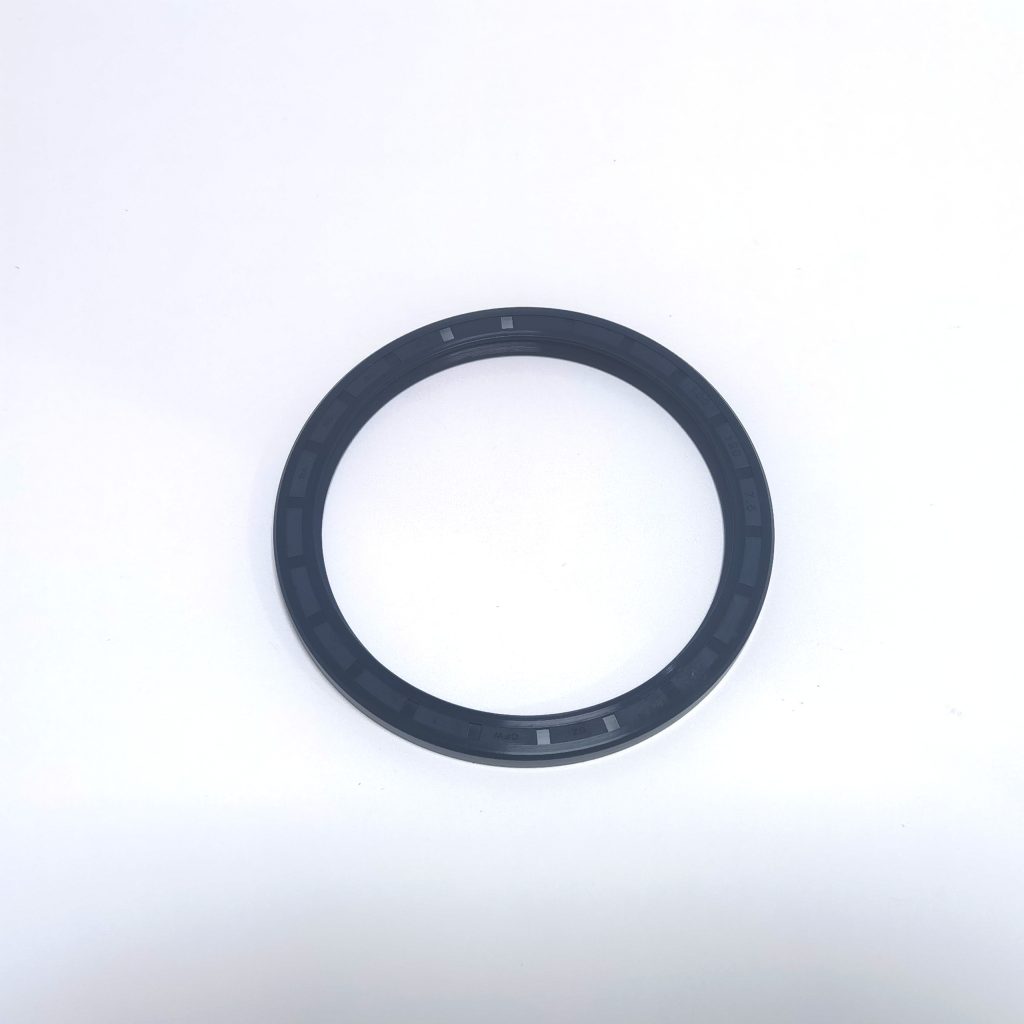 骨架密封 (1)